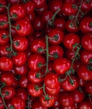 Packaging solutions Hyacinth Bucket