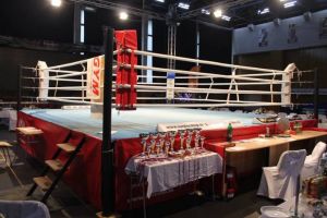 szko y boksu katowice Gymnazion MuayThai