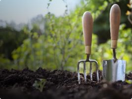 sklepy kupuj  ro liny ogrodowe katowice Centrum ogrodnicze Ogród Śląski