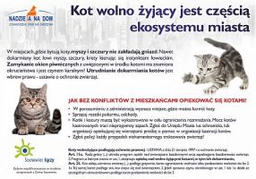 miejsca do adopcji kotow katowice Nadzieja na Dom