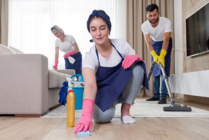 domowe firmy sprz taj ce katowice Czysty Śląsk - Smart Service Adrian Janik Sprzątanie biur Sprzątanie mieszkań Sprzątanie poremontowe