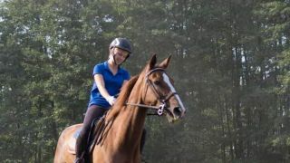 kursy jazdy konnej katowice Szkółka jeździecka Gallax nauka jazdy konnej