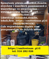 przenoszenie mebli katowice Ami Tro Trans - Przeprowadzki - Przewóz - wywóz mebli - likwidacja mieszkań - Utylizacja - Transport Katowice - całe śląskie