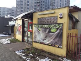 sklepy z krolikami katowice Sklep Zoologiczny Tuptuś