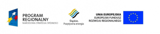 Regionalny Program Operacyjny Województwa Śląskiego – realna odpowiedź na realne potrzeby