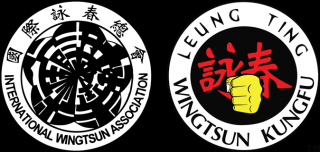 lekcje kung fu katowice WING TSUN KUNG FU Katowice