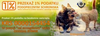 adoptuj border collie katowice Schronisko Dla Bezdomnych Zwierząt w Rybniku