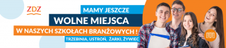 oferty pracy wo ny dla szko  katowice Zakład Doskonalenia Zawodowego w Katowicach