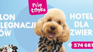 dog groomers in katowice Psia Łapka | Salon Groomerski pielęgnacji Psów | psi fryzjer Groomer | Strzyżenie mycie czesanie | HOTEL DLA PSÓW I KOTÓW