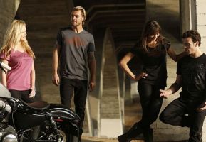 sklepy aby kupi  bia e koszulki damskie katowice Harley-Davidson Katowice